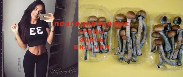 прущая мука Хадыженск