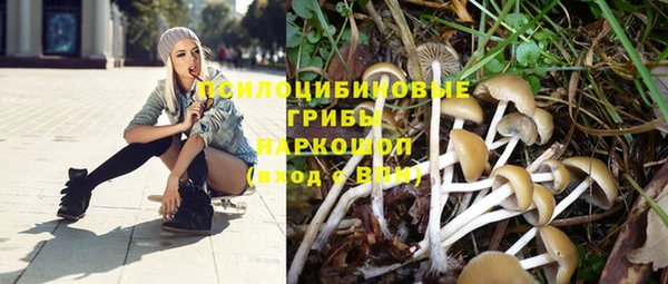 альфа пвп Ханты-Мансийск
