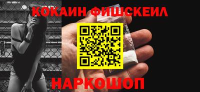 индика Камышлов
