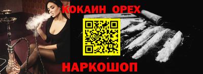 индика Камышлов