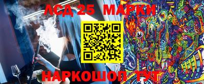 индика Камышлов