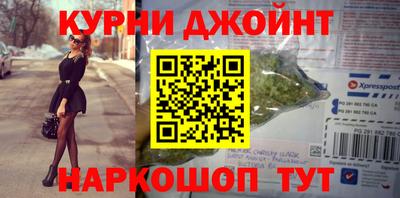 индика Камышлов