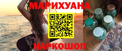индика Камышлов
