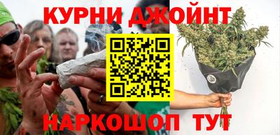 индика Камышлов