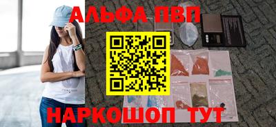 индика Камышлов