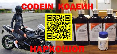 индика Камышлов