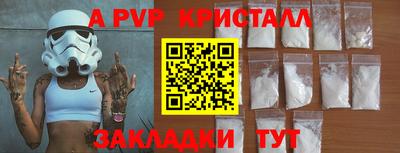 индика Камышлов