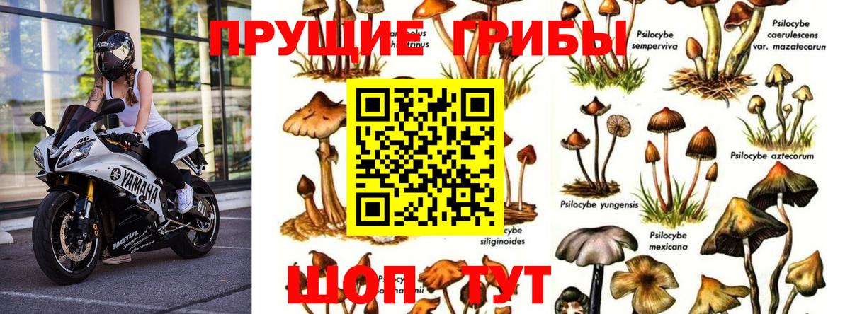 Псилоцибиновые грибы ЛСД Оренбург