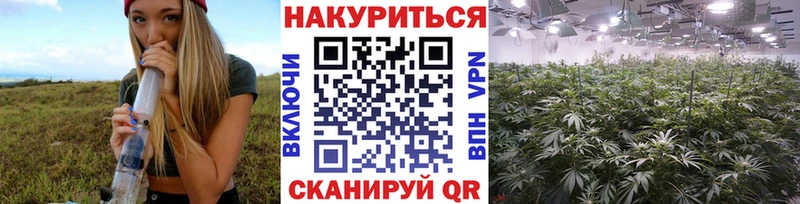 Канабис гибрид  Оренбург 